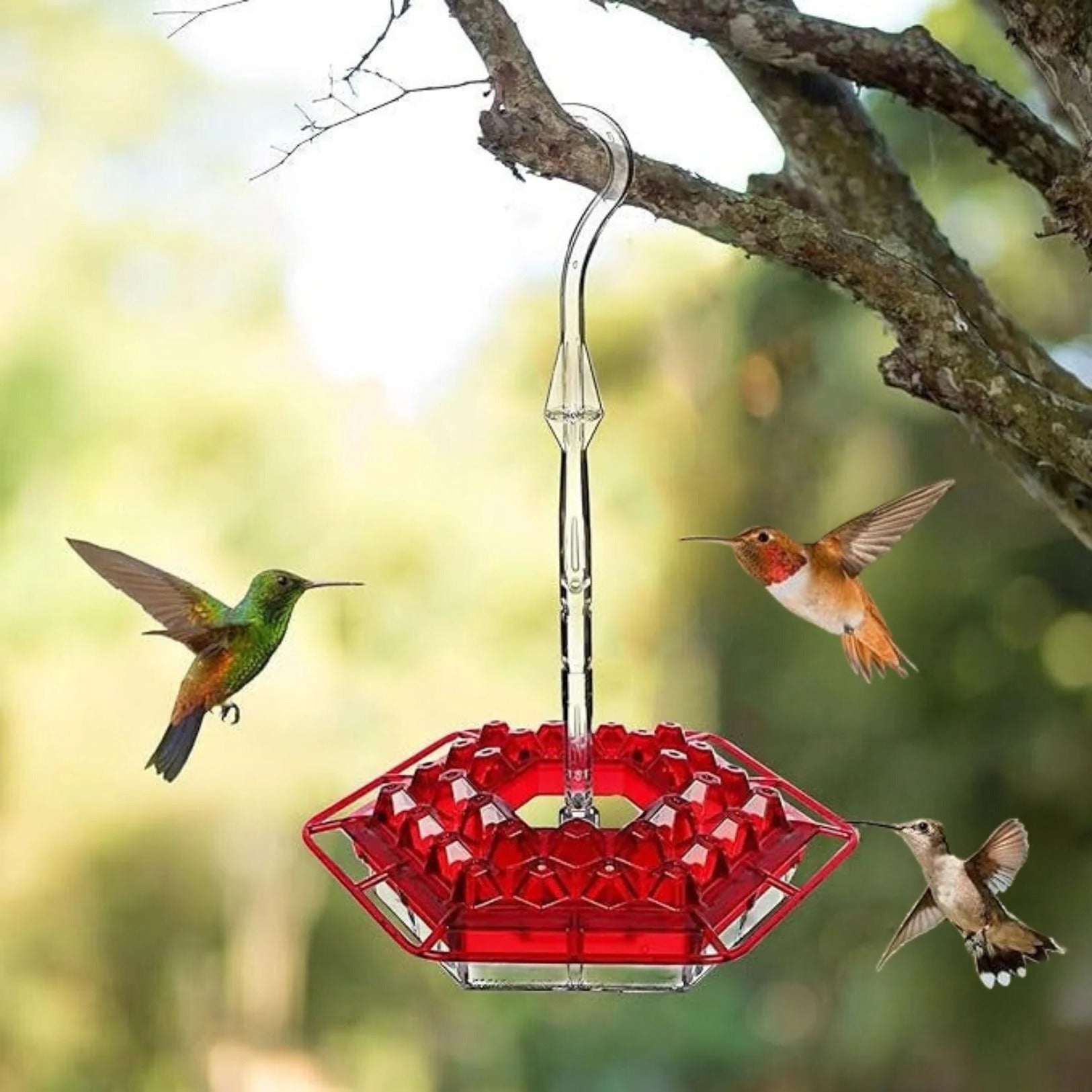 Outdoor Nectar Feeder with Built In Moat