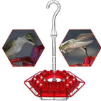 Outdoor Nectar Feeder with Built In Moat
