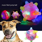 Self Rolling Dog Play Ball