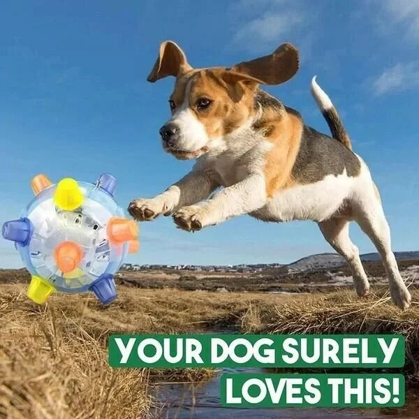 Self Rolling Dog Play Ball
