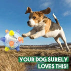 Self Rolling Dog Play Ball