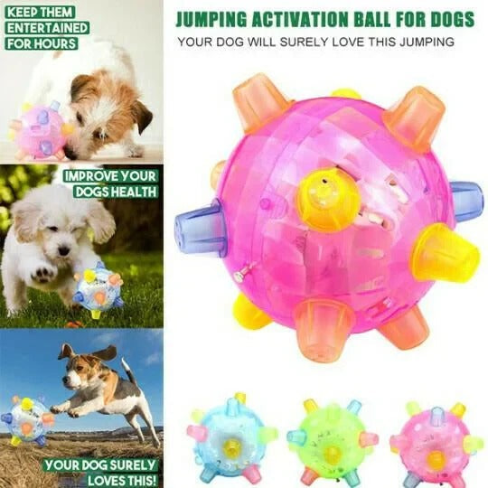 Self Rolling Dog Play Ball