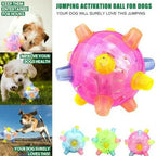 Self Rolling Dog Play Ball