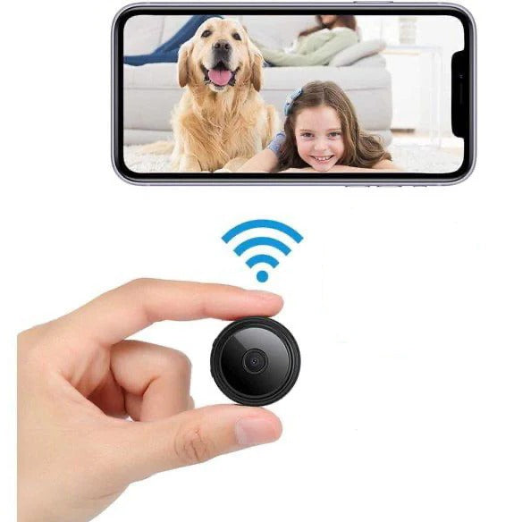 Palm Size Security Camera with Sound
