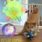 LED Hopping Dog Toy for Active Play