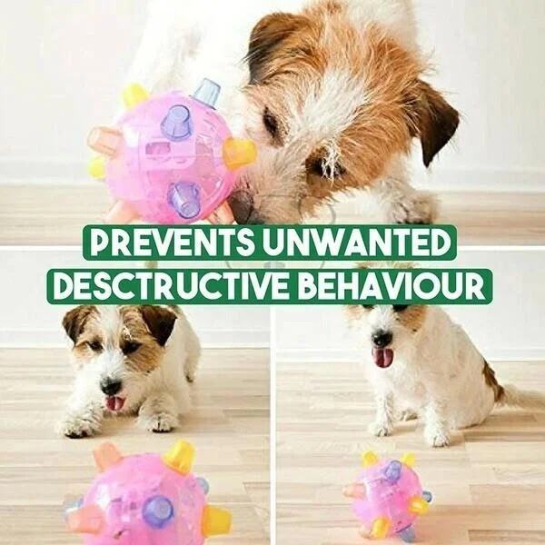 LED Hopping Dog Toy for Active Play