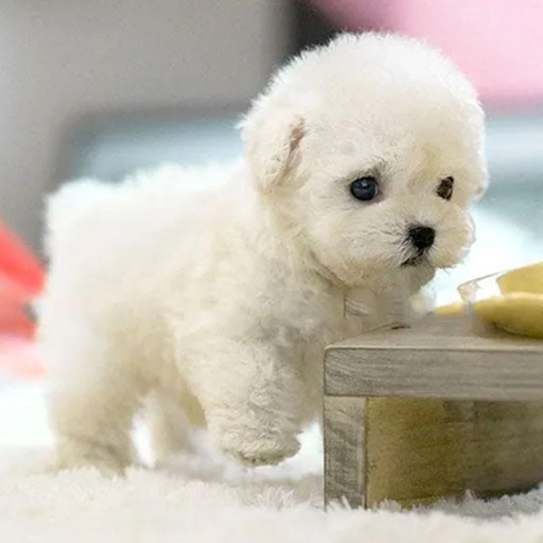 Battery Operated Lifelike Puppy Robot Toy
