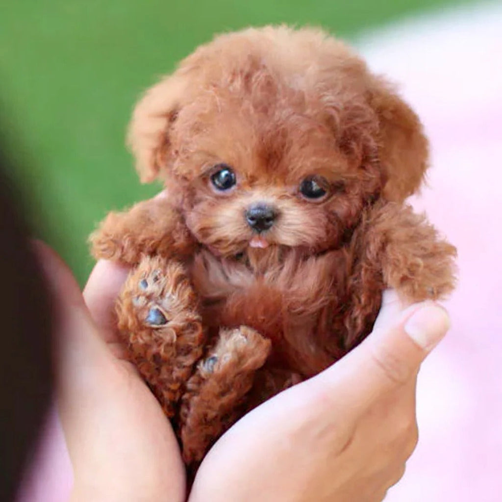 Battery Operated Lifelike Puppy Robot Toy