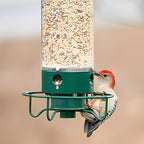 Weight Activated Squirrel Resistant Bird Feeder