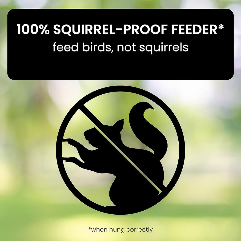 Weight Activated Squirrel Resistant Bird Feeder