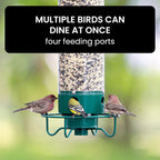 Weight Activated Squirrel Resistant Bird Feeder