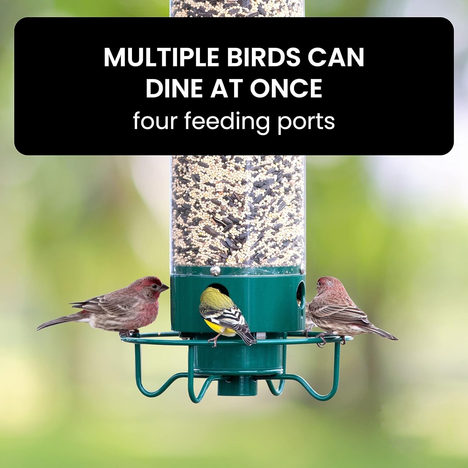 Weight Activated Squirrel Resistant Bird Feeder