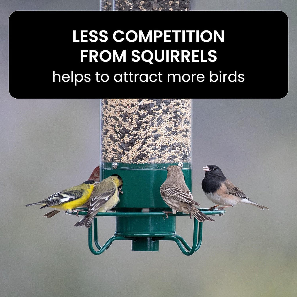 Weight Activated Squirrel Resistant Bird Feeder