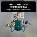 Weight Activated Squirrel Resistant Bird Feeder