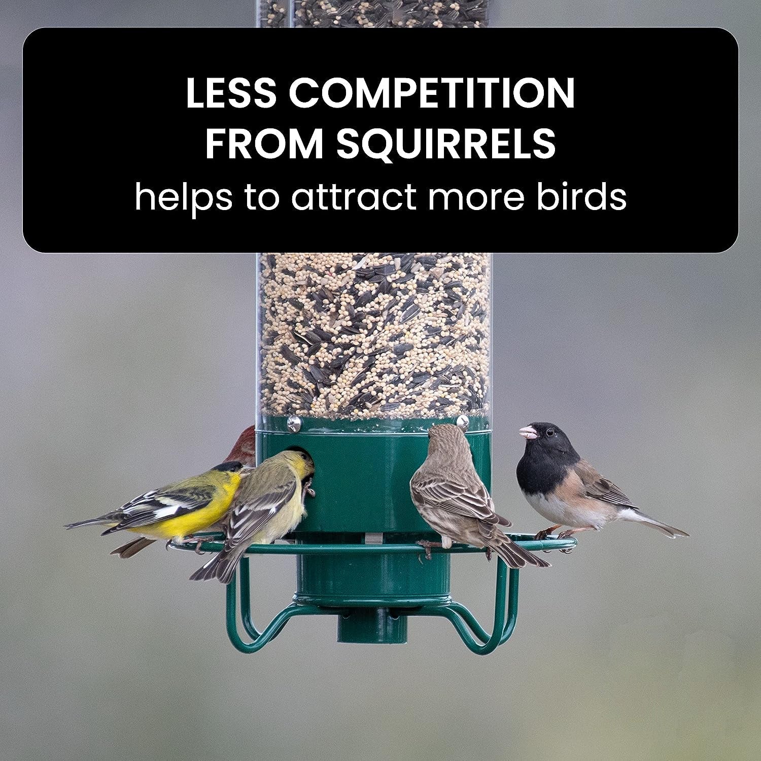 Weight Activated Squirrel Resistant Bird Feeder