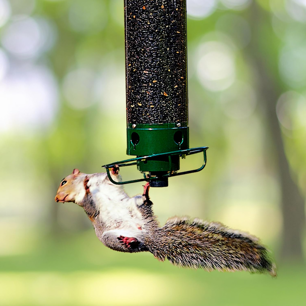 Weight Activated Hanging Bird Feeder