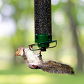 Weight Activated Hanging Bird Feeder