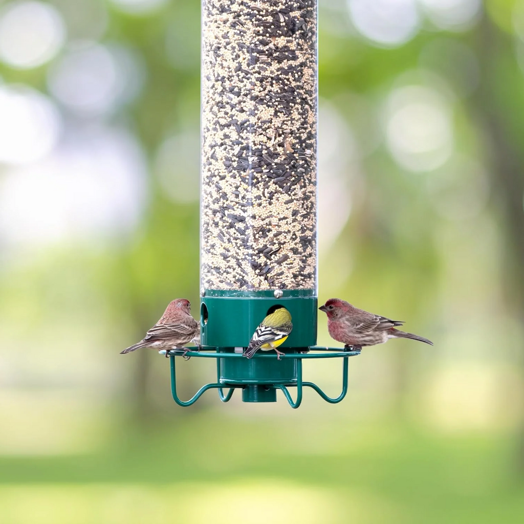 Weight Activated Hanging Bird Feeder