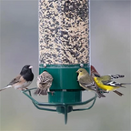 Weight Activated Hanging Bird Feeder