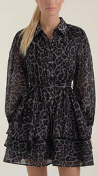 Women's Leopard Print Mini Dress
