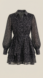 Women's Leopard Print Mini Dress