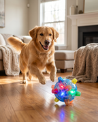 LED hopping ball dog toy with a dog, lifestyle