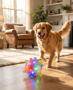 Self-rolling dog play ball with a dog, lifestyle